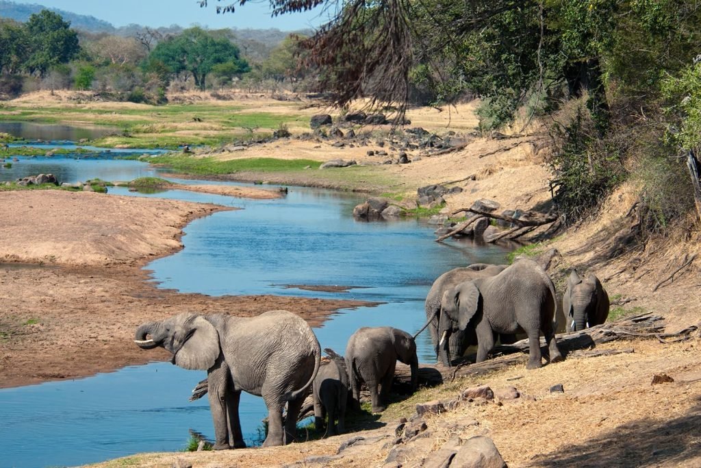 Great_Ruaha_River_Tanzania