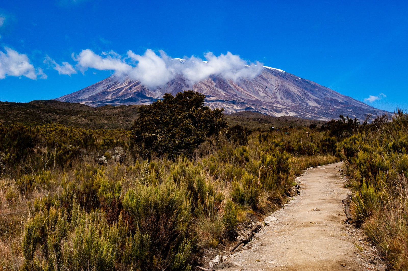 Kilimanjaro Rongai Route – 6 or 7 Days Climb
