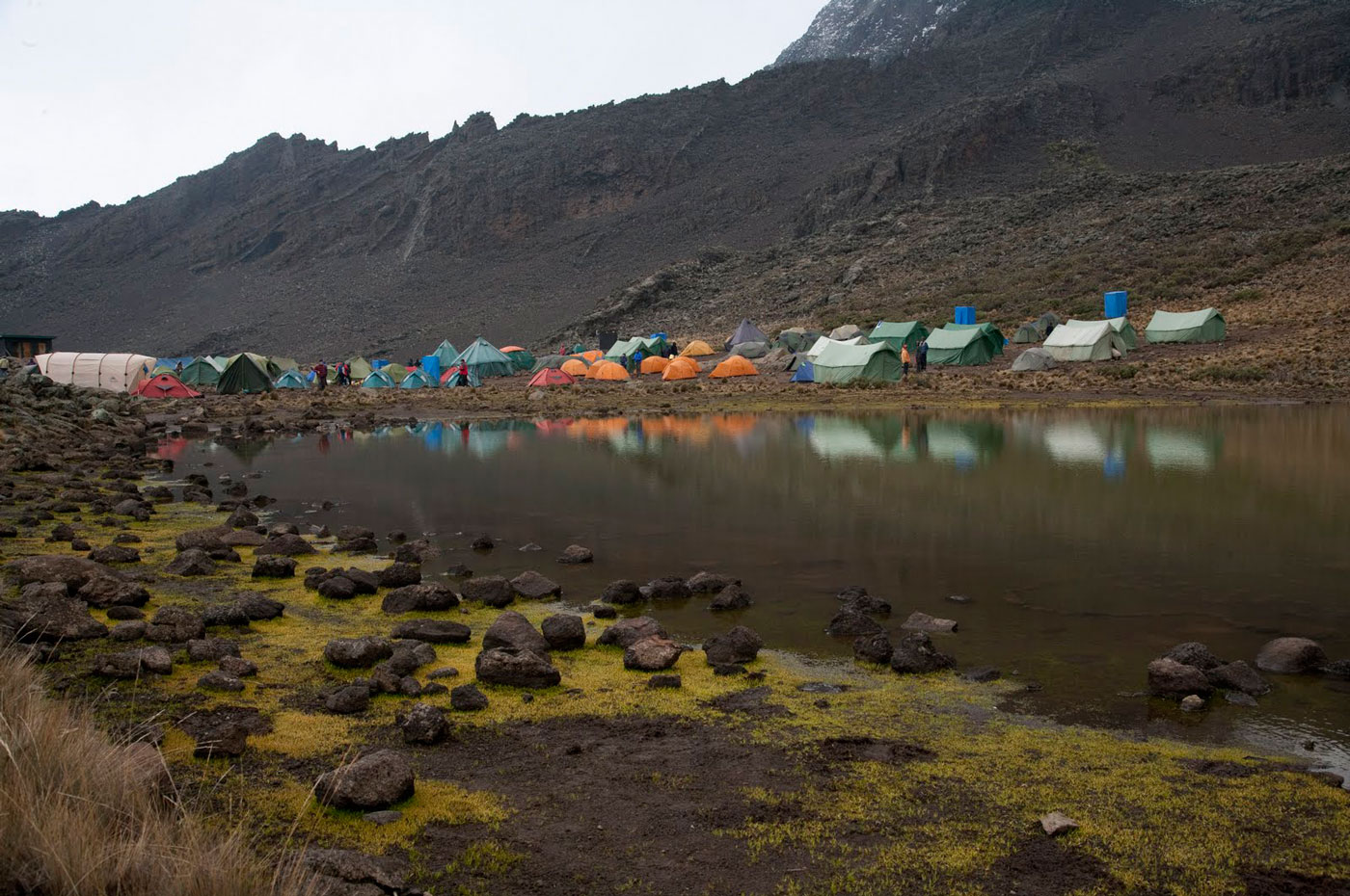 mawenzi-tarn-camp1