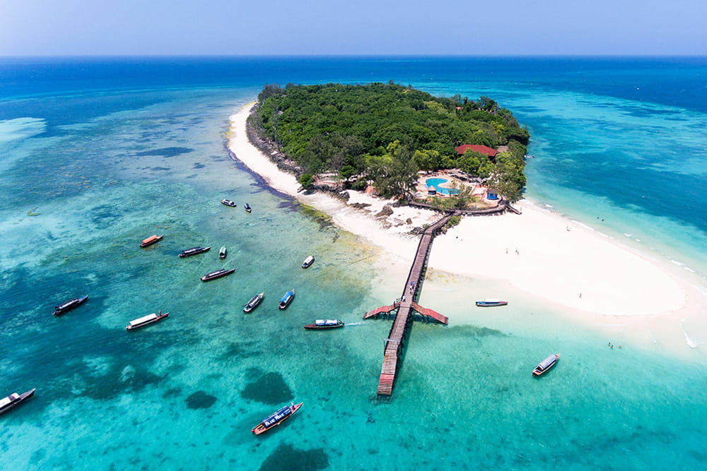 Prison Island